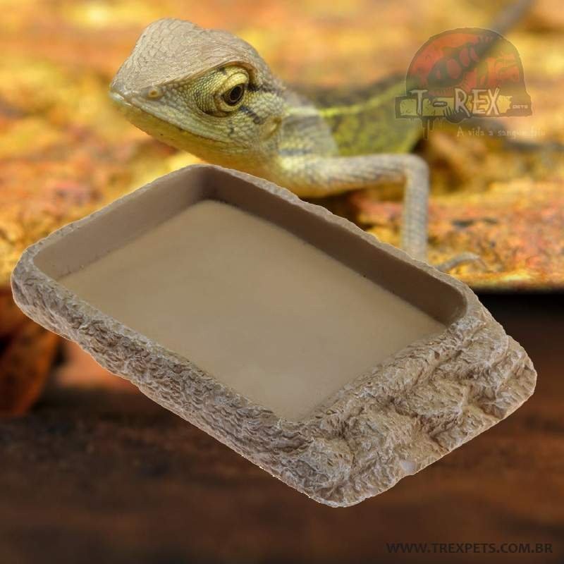 Comedouro para Jabutis Comedouro para Jabutis